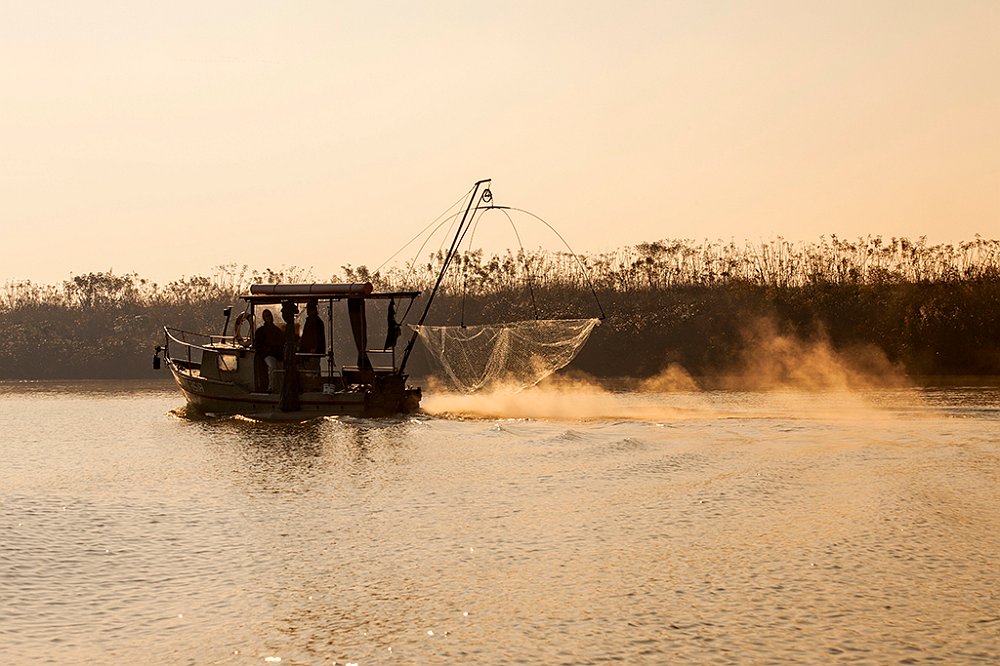 Delta del Po_13.jpg